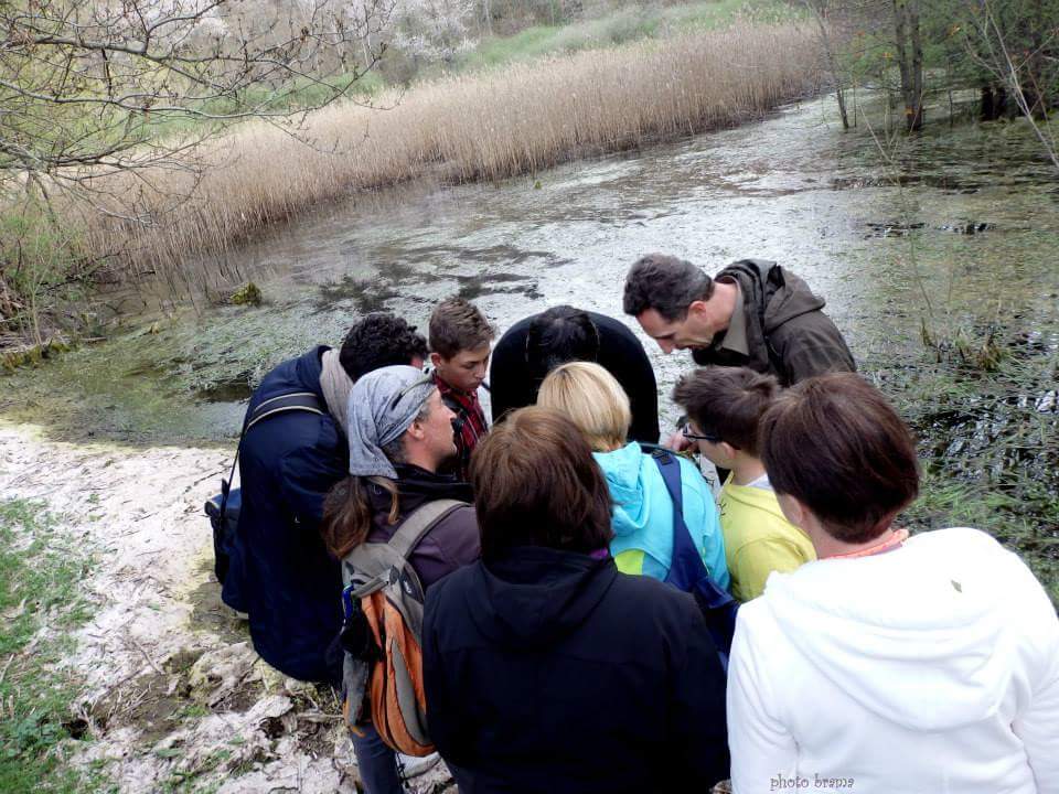 Laghetto di Montieri: biotopo meritevole!